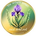 לוגו Your Success Toolbox