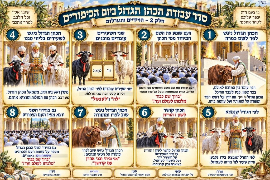 סדר עבודת הכהן הגדול ביום הכיפורים, חלק 2: אינפוגרפיקה של הווידויים והגורלות