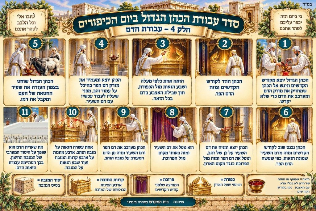 סדר עבודת הכהן הגדול ביום הכיפורים, חלק 4: אינפוגרפיקה של עבודת הדם